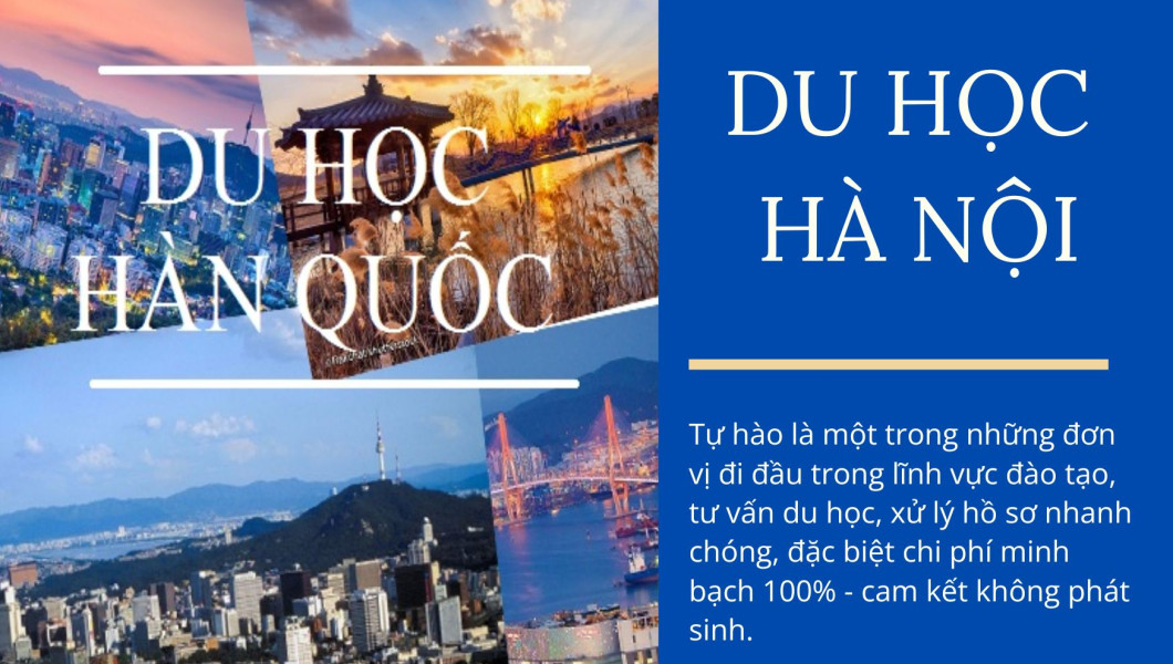 Seoul hay Busan phù hợp hơn với du học sinh Việt Nam?
