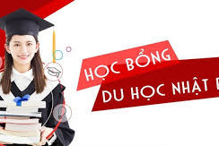 Những Trường Đại Học Tại Nhật Bản Cung Cấp Học Bổng Toàn Phần Cho Sinh Viên Việt Nam