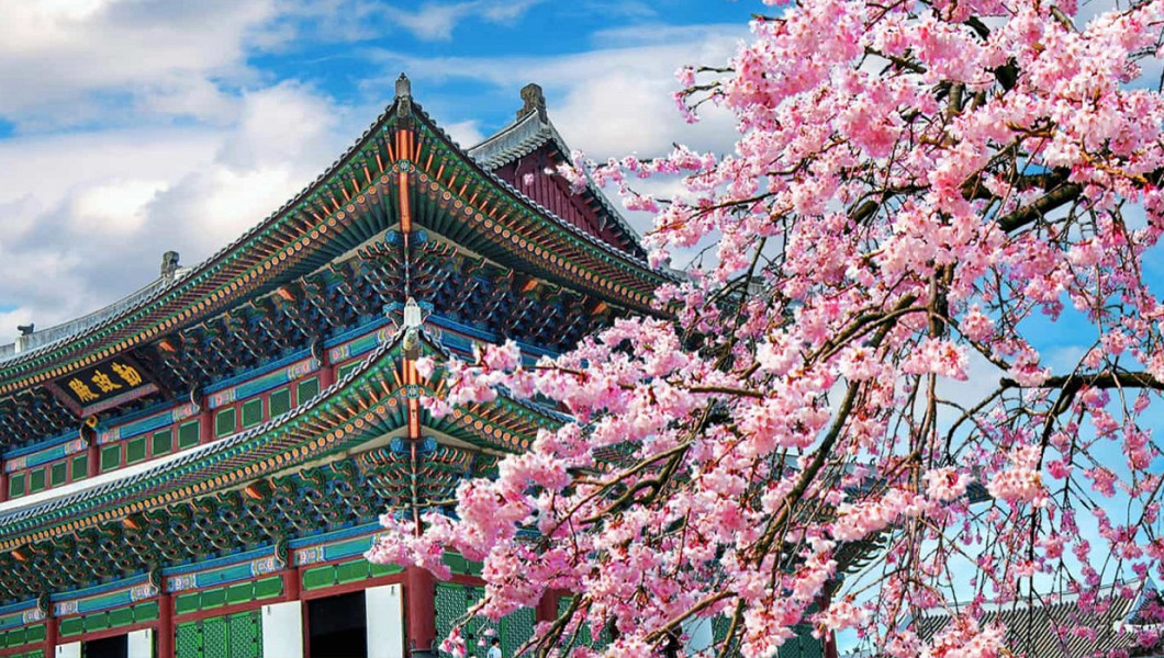  NGUYÊN NHÂN TRƯỢT VISA DU HỌC NHẬT BẢN