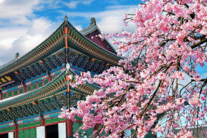  NGUYÊN NHÂN TRƯỢT VISA DU HỌC NHẬT BẢN