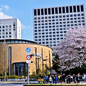 TRƯỜNG QUỐC TẾ SOPHIA TRƯỜNG QUỐC TẾ SOPHIA