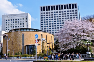  TRƯỜNG NHẬT NGỮ TOKYO SHINJUKU