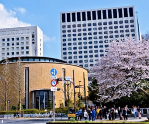 TRƯỜNG QUỐC TẾ SOPHIA