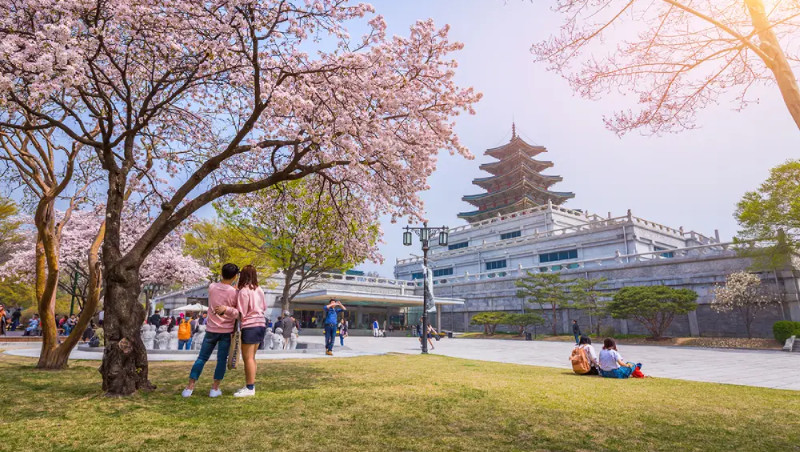 Top 5+ trường du học Hàn Quốc uy tín, dễ xin visa