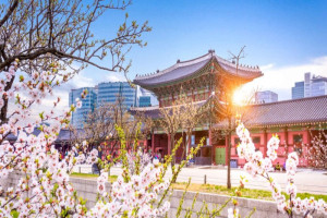 Chi phí du học Hàn Quốc 2026: Tổng chi phí đi du học Hàn Quốc cần chuẩn bị