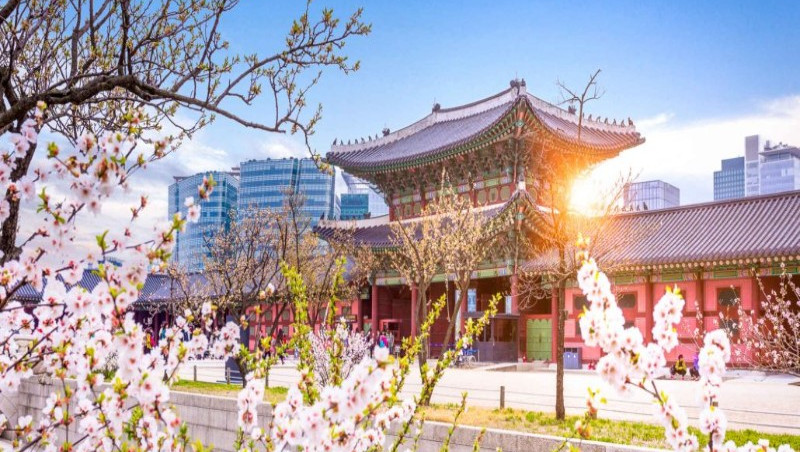 Chi phí du học Hàn Quốc 2026: Tổng chi phí đi du học Hàn Quốc cần chuẩn bị Chi phí du học Hàn Quốc 2026: Tổng chi phí đi du học Hàn Quốc cần chuẩn bị