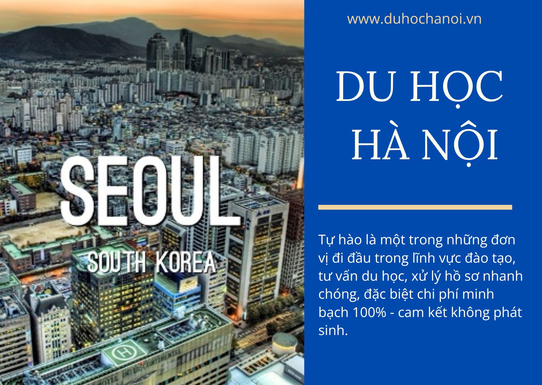 Du học Hàn Quốc ngành công nghệ thông tin (IT) là một trong những quyết định mang tính chiến lược, mở ra một tương lai vô cùng tươi sáng cho giới trẻ trong kỷ nguyên số.
