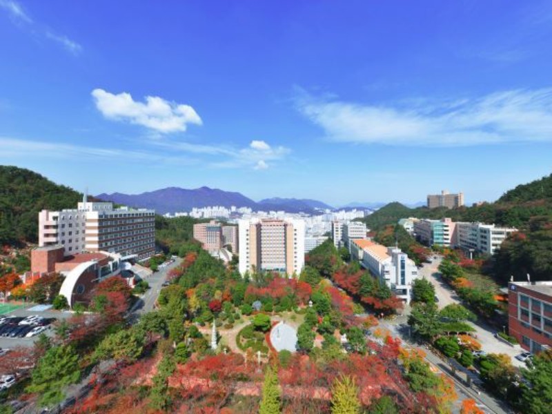du học hàn quốc xong có được ở lại không